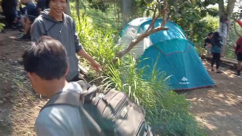 Logo singa unduh gratis kepala singa logo. Gunung singa part 1 - YouTube