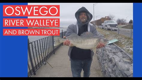 Fishing For Brown Trout And Walleye Fishing The Oswego River In Oswego