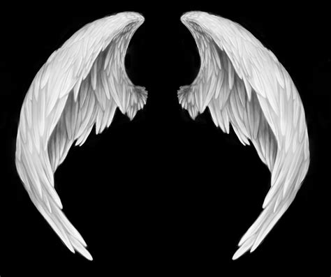 White Angel Wings Png Clip Art Library