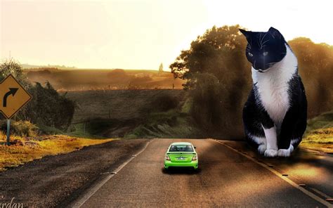 Cat Giant Car Road Landscape Digital Art Photo Manipulation