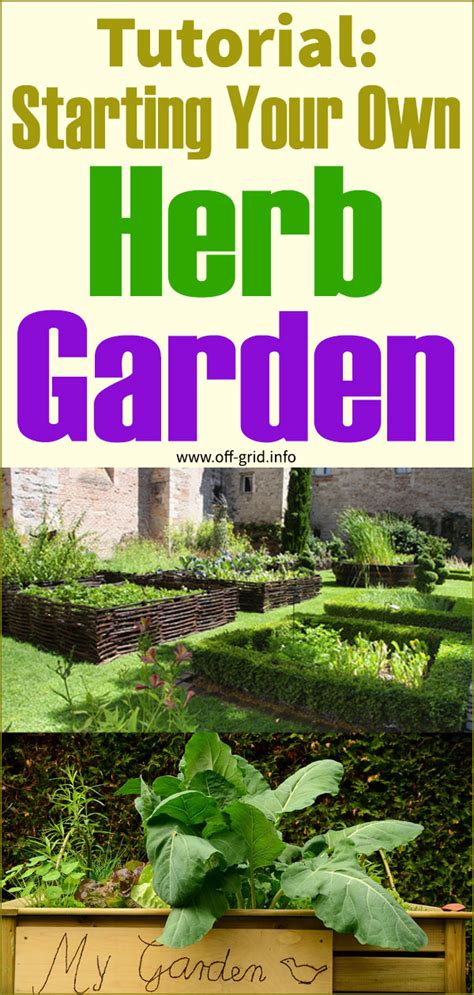 Tutorial Starting Your Own Herb Garden Off Grid Herb Garden Herbs