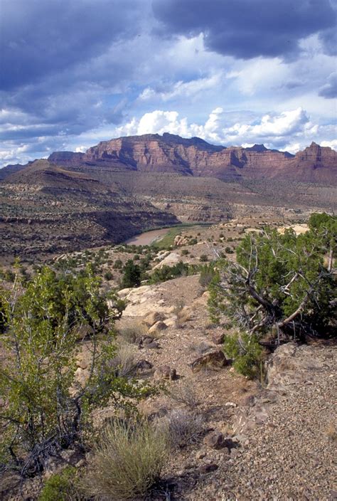 Public mutual berhad has succeeded in meeting those needs with its unit trust funds. Public Domain Picture | Desolation/Gray Canyons near Price ...