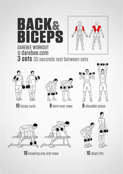 Pull Ups Guide Back And Bicep Workout Biceps Workout Dumbell Workout