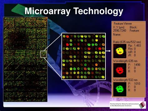 Why computer databases are important in genomics and proteomics? PPT - Introduction to Genomics, Bioinformatics ...
