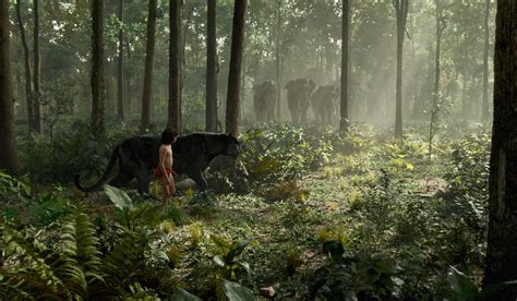 The legend will never be the same. The Jungle Book: 14 Things to Know About Disney's Movie ...