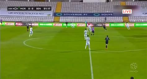Campeonato portugês ao vivo é no multicanais tv online grátis. Moreirense Benfica online grátis e com excelente qualidade