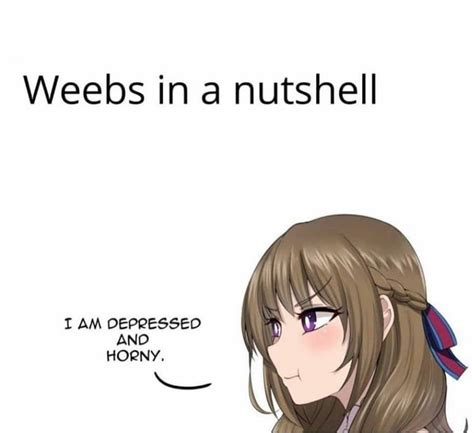 As A Weeb I Can Confirm Anime Memes Anime Meme Face Anime Memes Funny