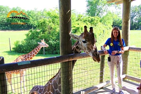 10 Fun And Unique Things To Do At The Fort Wayne Childrens Zoo