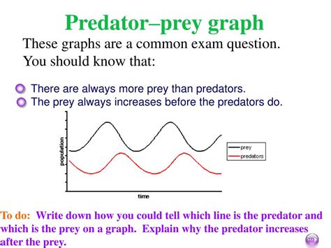 Ppt Predator Prey Relationships Powerpoint Presentation Free