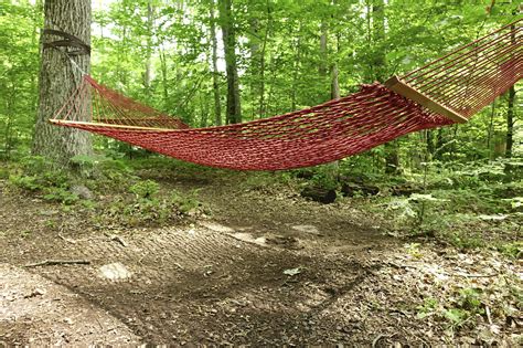 Zoom in to view more details. West Virginia Botanic Garden | Come Grow With Us!