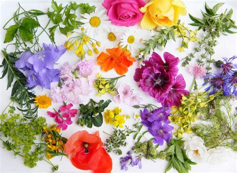 10 Edible Flowers To Grow This Spring Farmers Almanac Plan Your