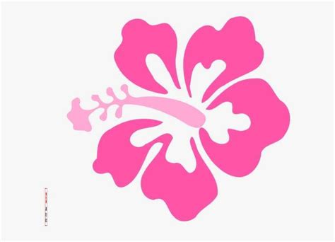 Simple Hawaiian Flower Drawing Hibiscus Clip Art Transparent Png