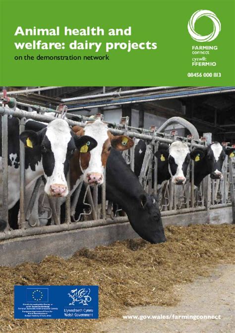 Animal Health And Welfare Dairy Projects On The Demonstration Network