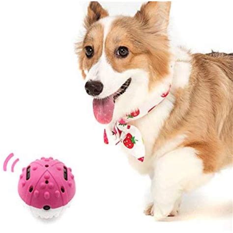 Plastic Bell Ball Pet Playing Ball Toys Two Color Bell Ball Jingle