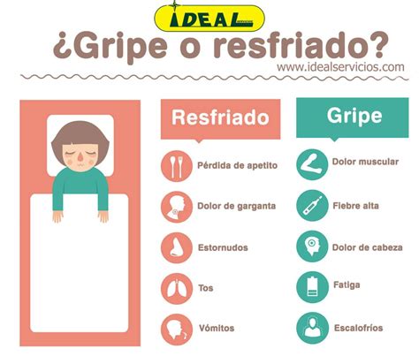 Consejos Para Combatir La Gripe En Tu Oficina Ideal Servicios Integrales