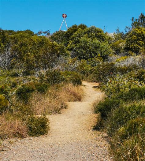 Winter wonderland set to be hottest destination in brisbane. Noosa National Park: Emu Mountain - Adventure Sunshine Coast