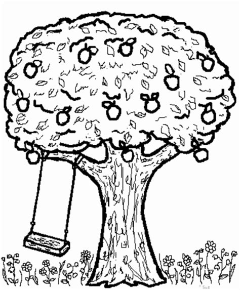 Fruit Tree Drawing at GetDrawings | Free download
