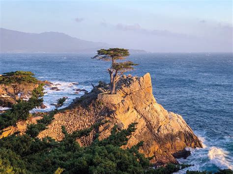 Lone Cypress Pebble Beach Updated November 2022 Top Tips Before You
