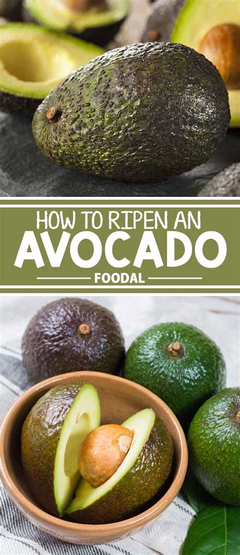 How To Ripen An Avocado Tips And Tricks Foodal