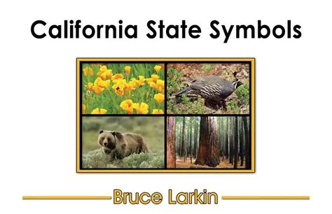 California State Symbols First Grade Book Wilbooks