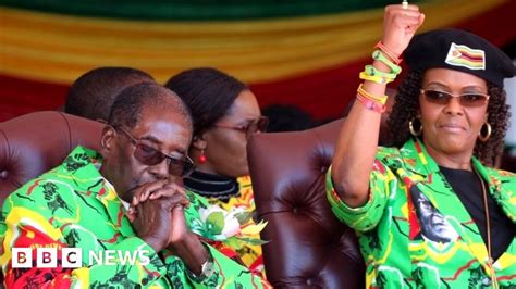 Grace Mugabe South Africa Grants Immunity Despite Assault Claim Bbc News