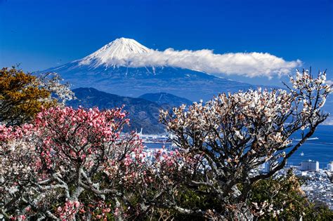 Mount Fuji Hd Wallpaper Background Image 2048x1365