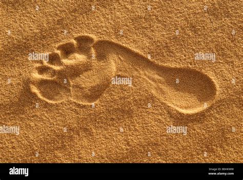 Bare Foot Footprint In The Desert Sand Sahara Desert Algeria North