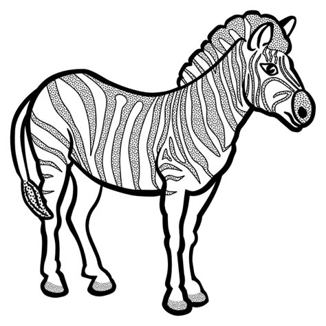 Zebra In Black And White Vector Drawing Free Svg