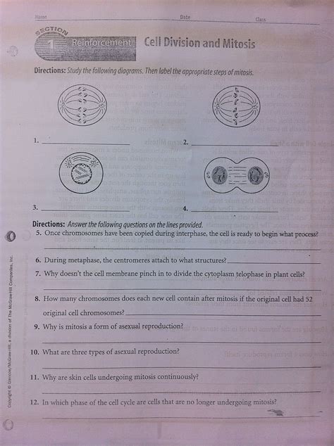 Cell division gizmo answer key. Cell Membrane Information Worksheet Answers
