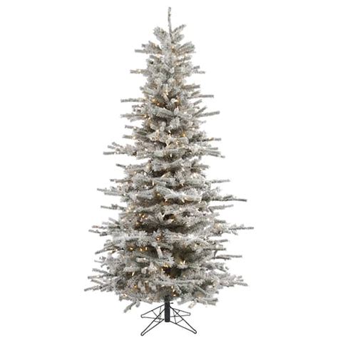 65ft Pre Lit Flocked Sierra Fir Slim Artificial Christmas Tree Clear