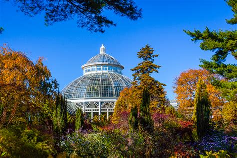 Giardino botanico di New York: spettacolo delle orchidee | Viaggiamo
