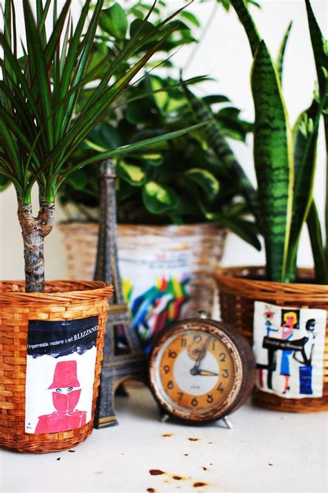 Houseplants In Dressed Up Baskets Make Great Ts Plant Basket Diy