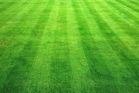 Artificial Grass Green Football Turf Size 2 X 25 Meter Rs 50 Square
