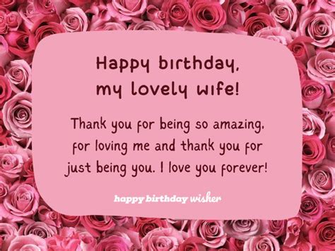 Total Imagem Happy Birthday To Wife Quotes Br Thptnganamst Edu Vn