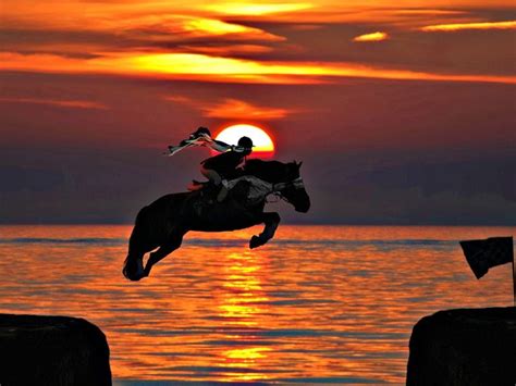 , taken with an nikon d3300 03/27 2017 the picture taken with 105.0mm, f/8.0s, 10/20000s, iso 360. Horse Jumping Sunset