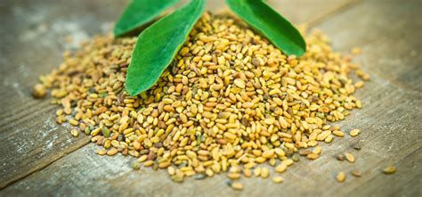 18 Astonishing Benefits Of Fenugreek Seeds (Methi) For Skin, Hair, And