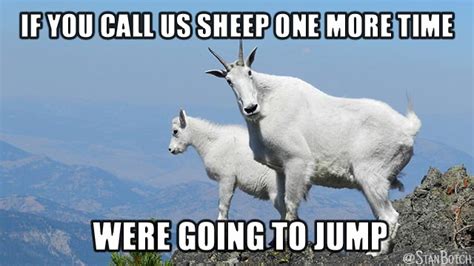Trending images, videos and gifs related to goat! Goat - Page 11 - Forum Games! - Kerbal Space Program Forums