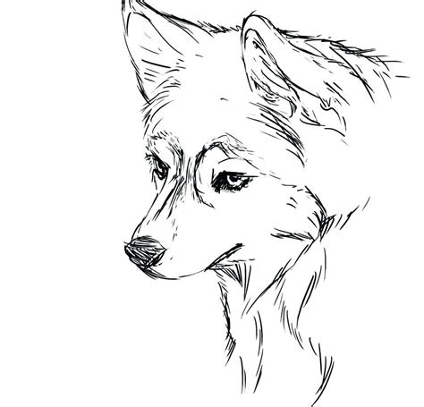 Siberian Husky Coloring Pages At Free Printable