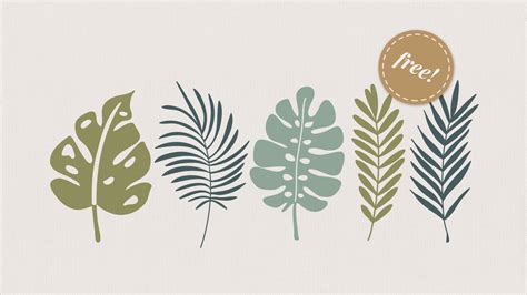 Free Tropical Leaf Illustrations - Free Design Resources by amber&ink