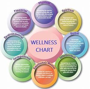 Health Wellness Checklist Charts