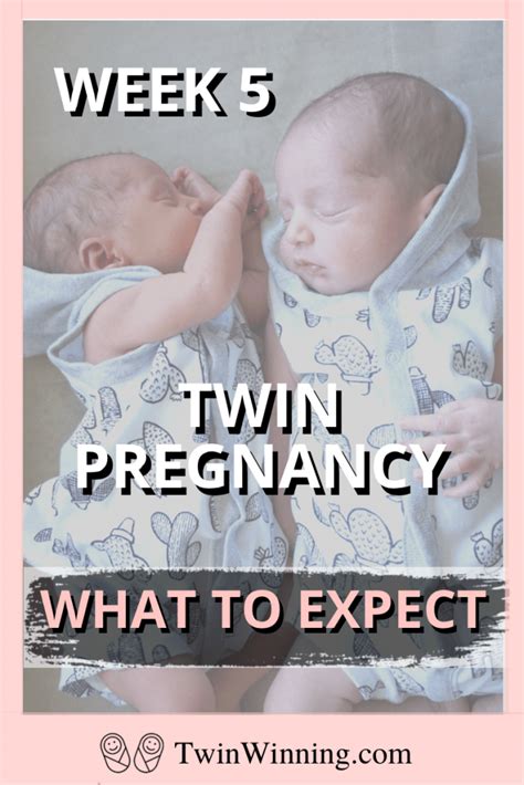Twin Pregnancy Week 5 What To Expect Twin Winning
