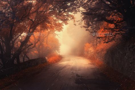 Mystical Autumn Red Forest With Road In Fog Stock Photo By Den Belitsky