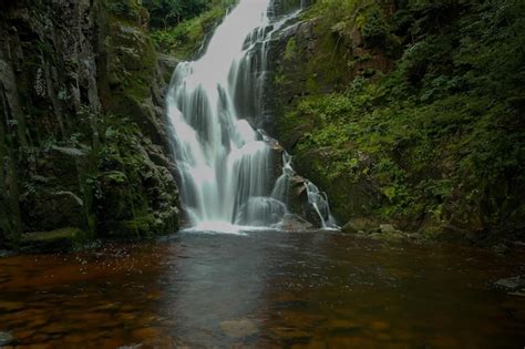 Premium Photo Waterfall In The Forest Mountain Water Wildlife