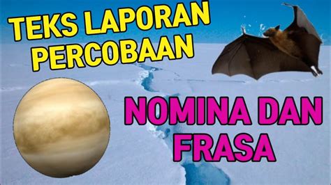 Contoh Bacaan Teks Naratif Beserta Soal - Kumpulan Contoh Soal