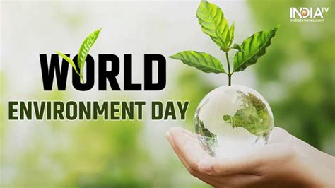 World Environment Day 2023 Date Theme History Significance Other