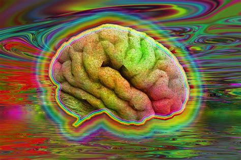 Psychedelic Drugs Found To Cause A Higher State Of Consciousness