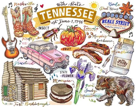 Tennessee Print Illustration State Symbols Nashville Smoky Etsy In