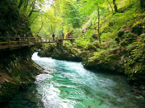 We offer the best one day trips in slovenia as well. Nature in Slovenia - Maho On Earth