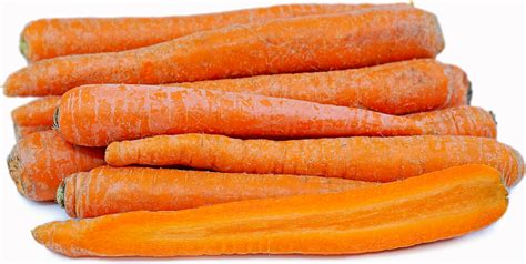 Carrots Information Recipes And Facts