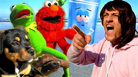 Angry Mom Takes Kermit The Frog Elmo Towelie And Puppy To The Beach